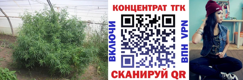 купить  сайты  Изобильный  Дистиллят ТГК жижа 
